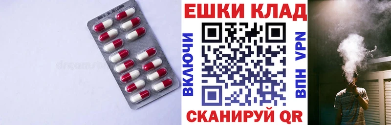 ЭКСТАЗИ круглые дарнет шоп Бородино