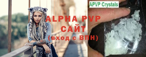 сатива Беломорск