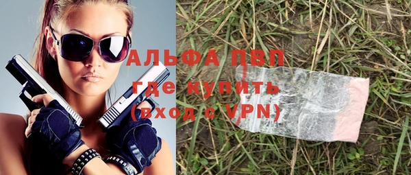 сатива Беломорск