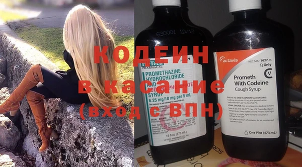 сатива Беломорск