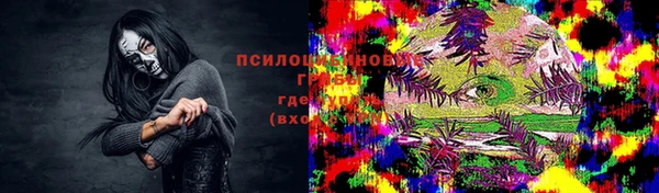сатива Беломорск