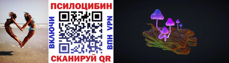 купить закладку Бородино Галлюциногенные грибы Psilocybine cubensis