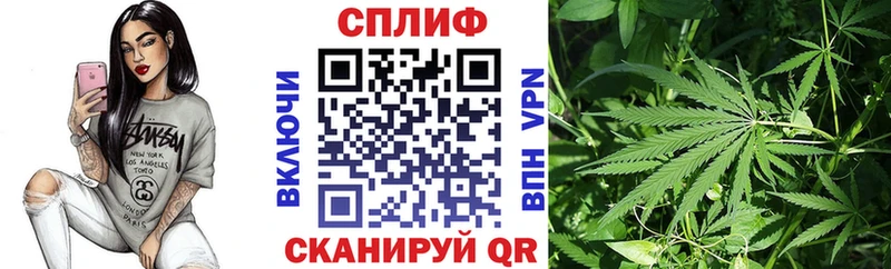 Марихуана OG Kush  Бородино 